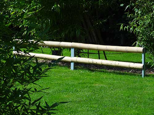 Palissade de bambou